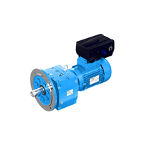 罗尔西减速机Rossi-E系列同轴齿减速电机